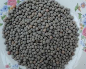 ��������Щ�����������V�Ϸ֞��Ď׷N